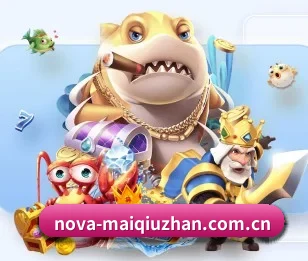 买球站的故事